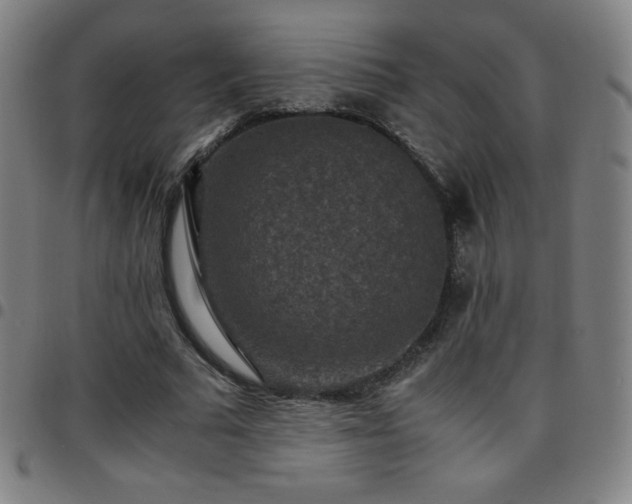 X0000097660681200803071533