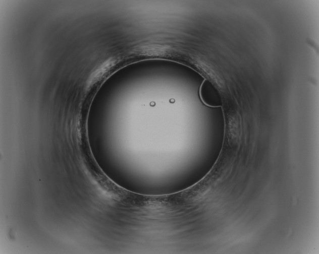 X0000097660682200803071533
