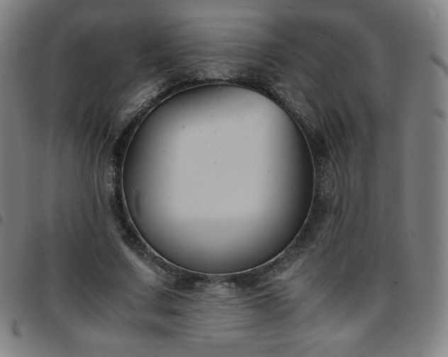 X0000097660683200803071532