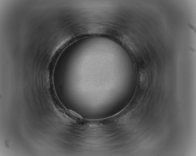 X0000097660684200803071532