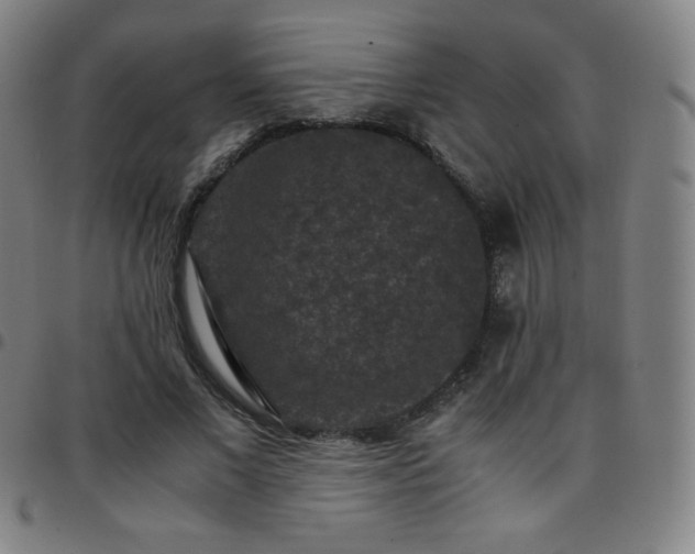 X0000097660685200803071532