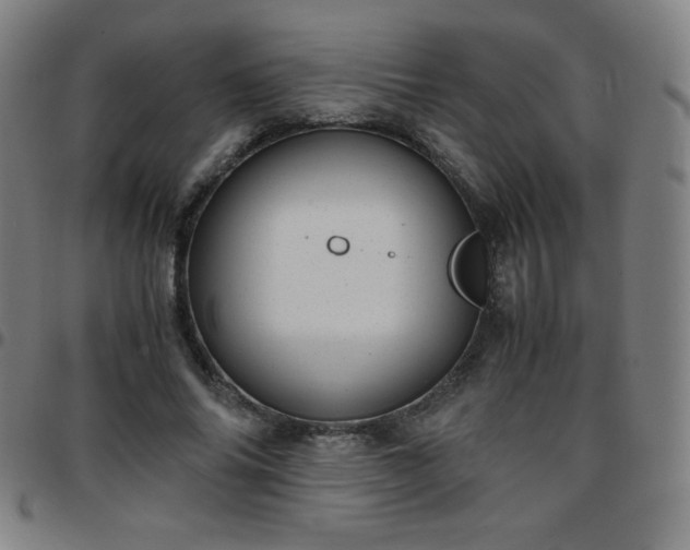 X0000097660686200803071532