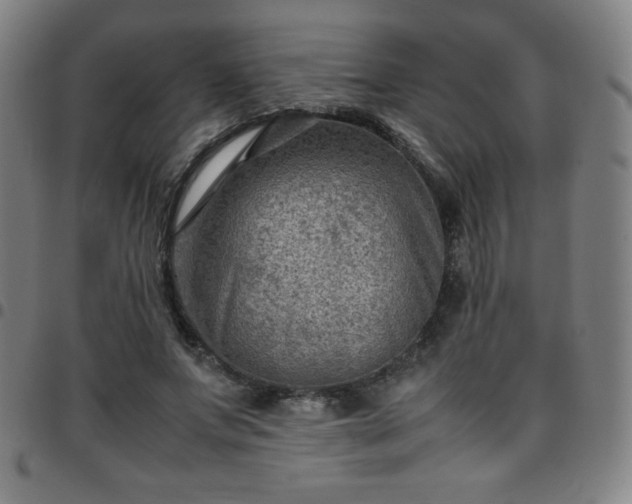X0000097660687200803071532
