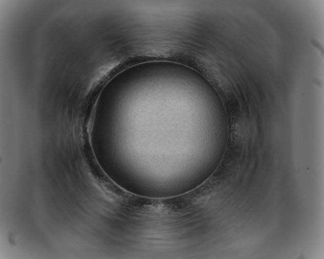 X0000097660688200803071532
