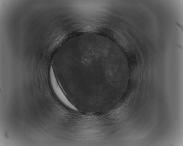 X0000097660689200803071532