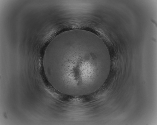 X0000097660691200803071532