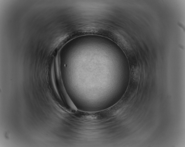 X0000097660692200803071532