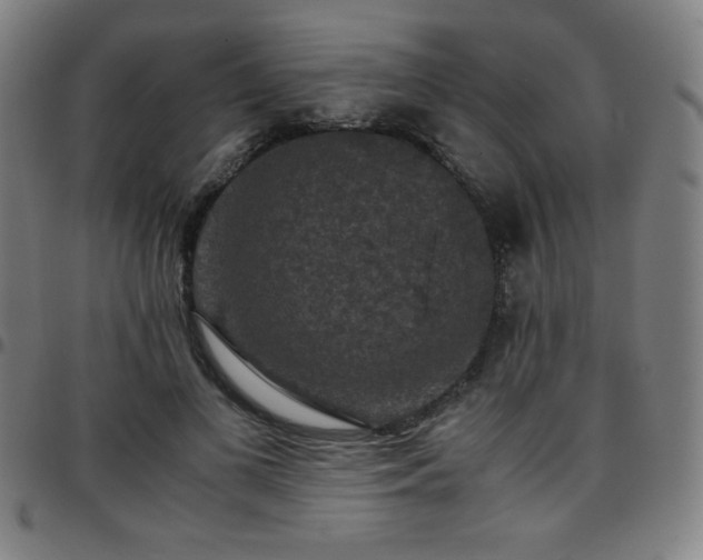 X0000097660693200803071532
