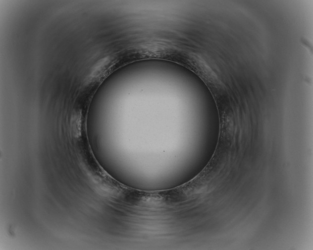 X0000097660694200803071532