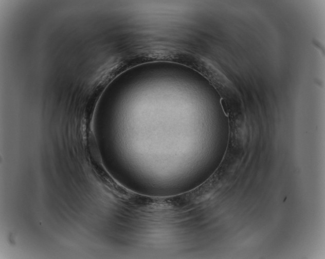 X0000097660696200803071532
