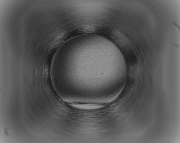X0000097660697200803071532