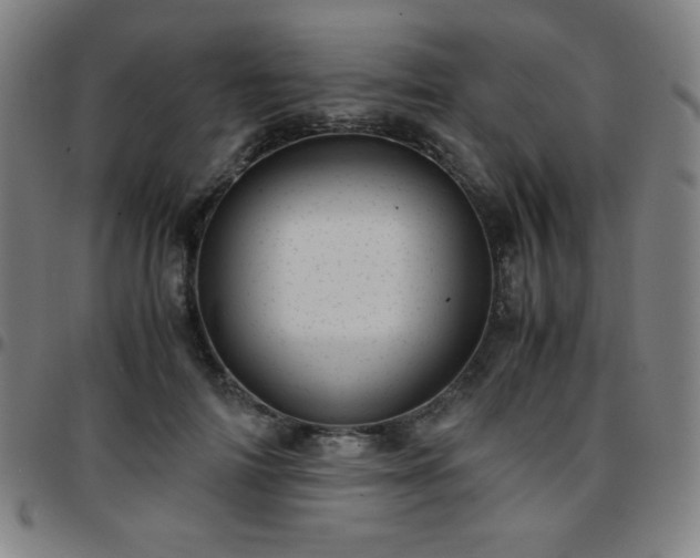 X0000097660698200803071532