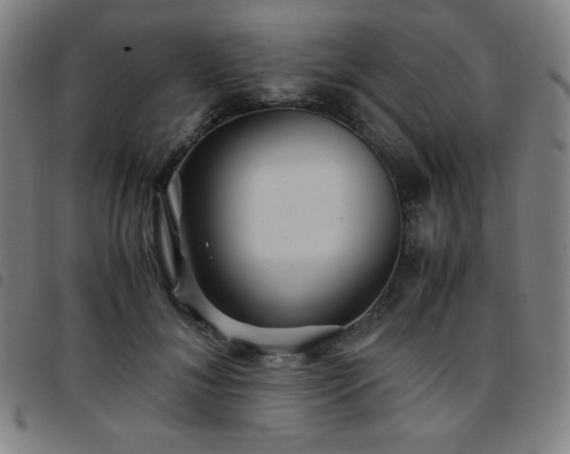 X0000097660700200803071532