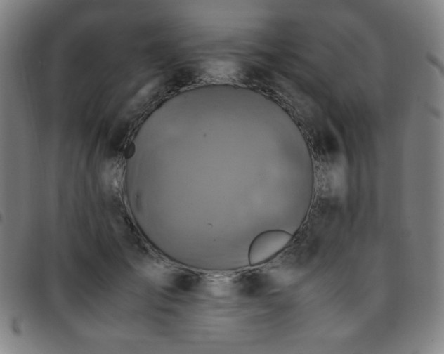 X0000097660701200803071532