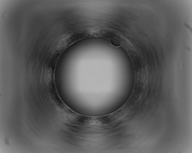 X0000097660702200803071532