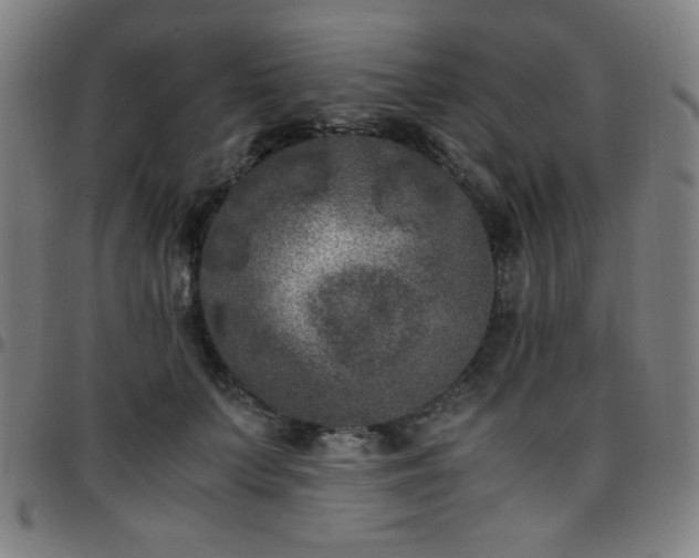 X0000097660703200803071532