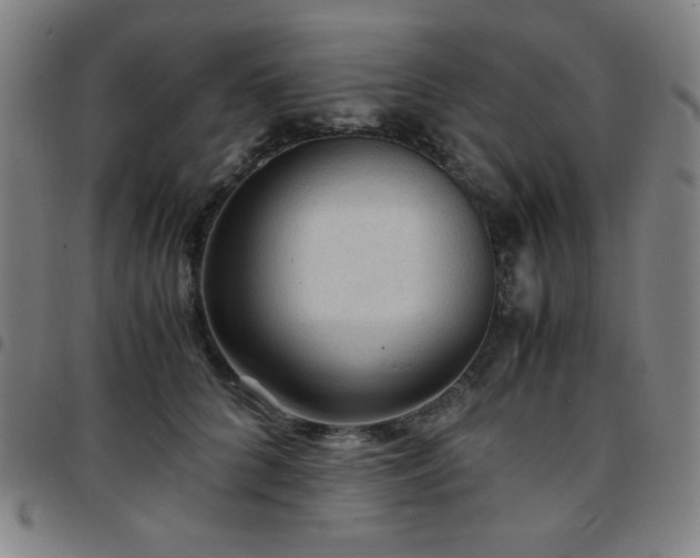 X0000097660704200803071532