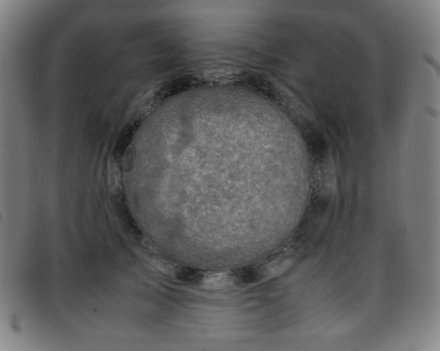X0000097660705200803071532