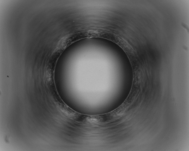 X0000097660706200803071532