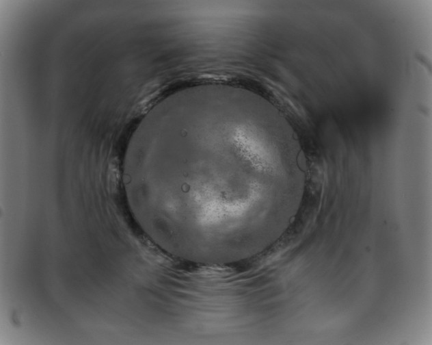 X0000097660707200803071532
