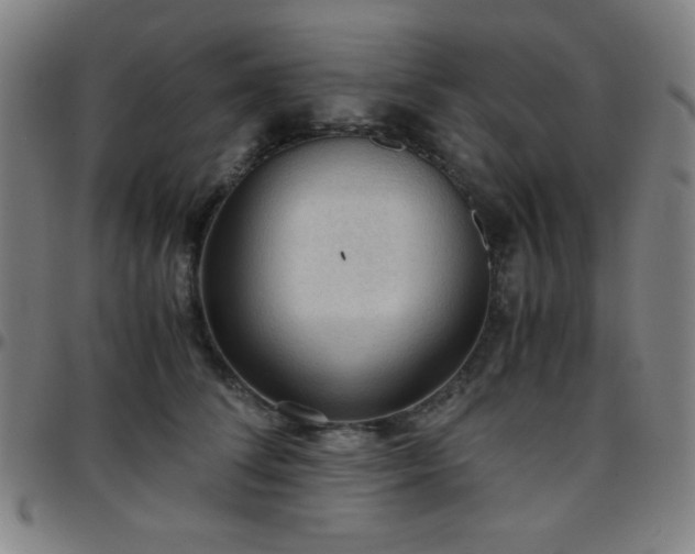 X0000097660708200803071532
