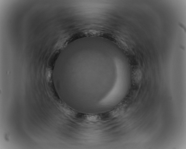 X0000097660709200803071532