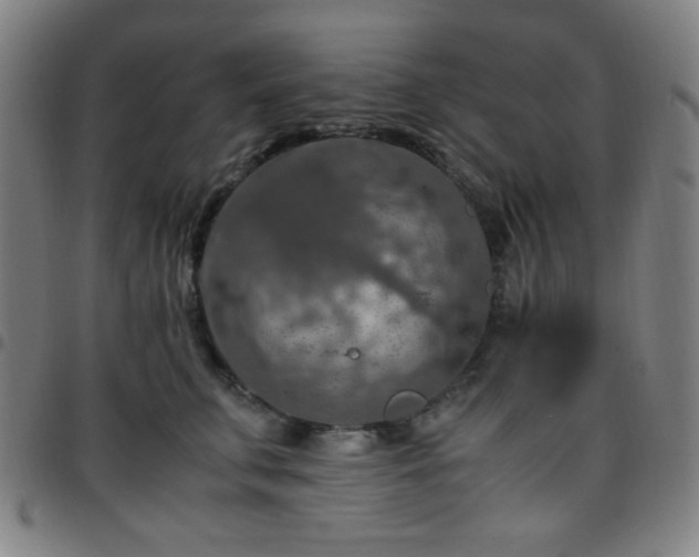 X0000097660711200803071532