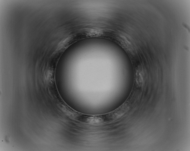 X0000097660714200803071532