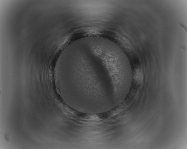 X0000097660715200803071532