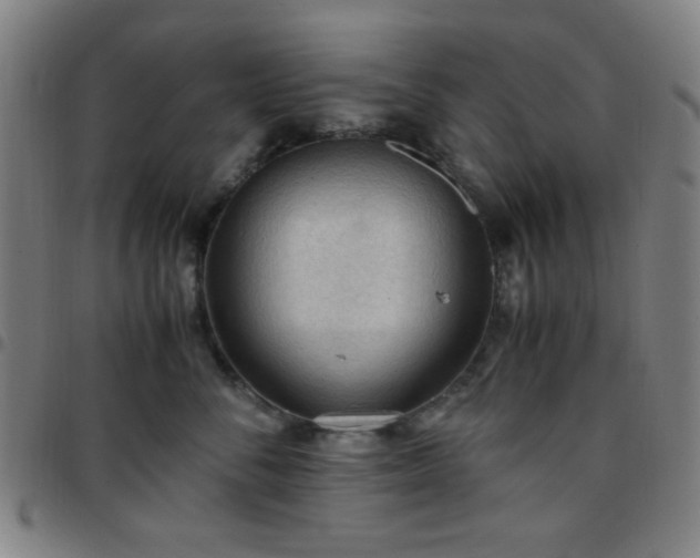 X0000097660716200803071532