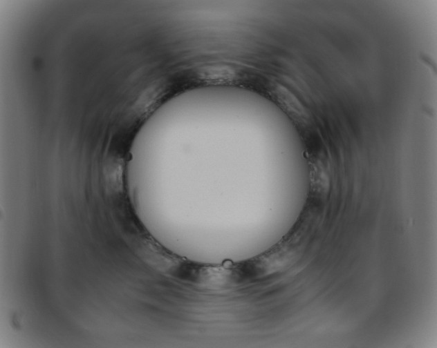 X0000097660717200803071532