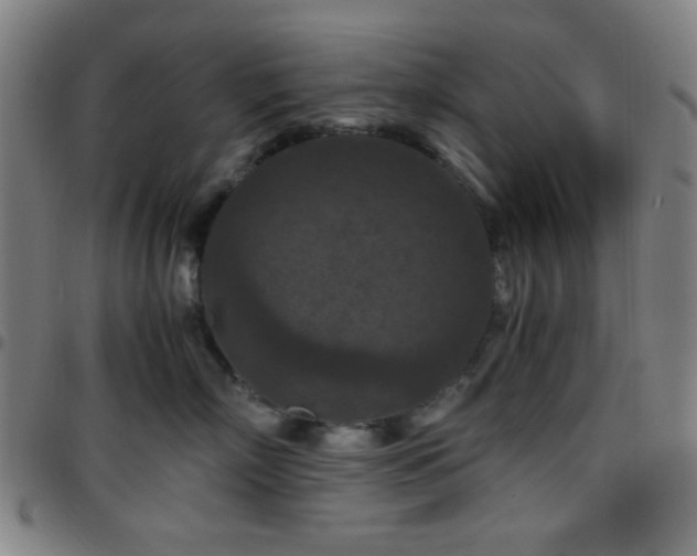 X0000097660718200803071532