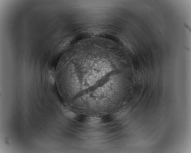 X0000097660719200803071532