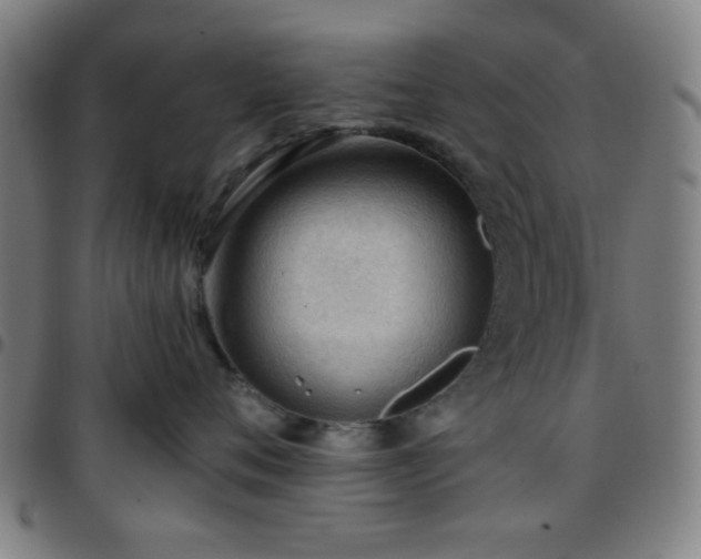 X0000097660720200803071532