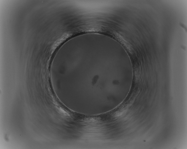 X0000097660721200803071531