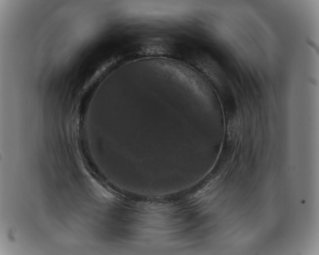 X0000097660722200803071531