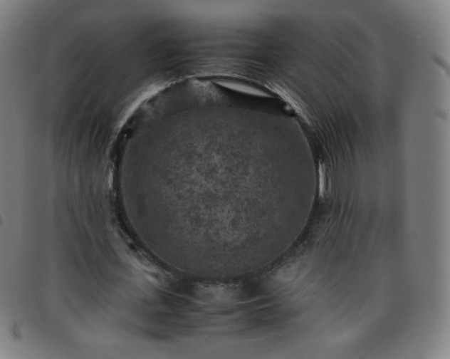 X0000097660723200803071531