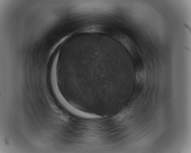 X0000097660724200803071531