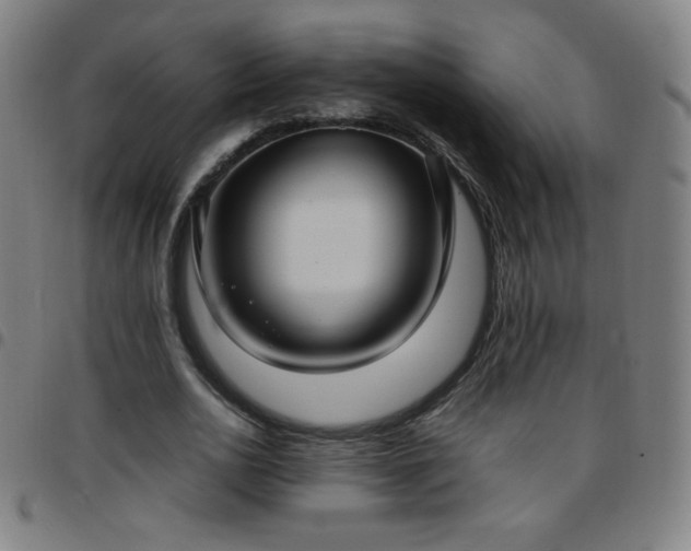 X0000097660726200803071531