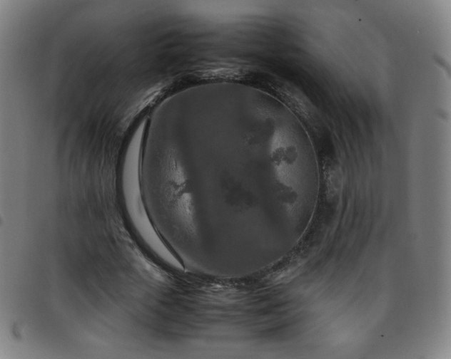 X0000097660729200803071531
