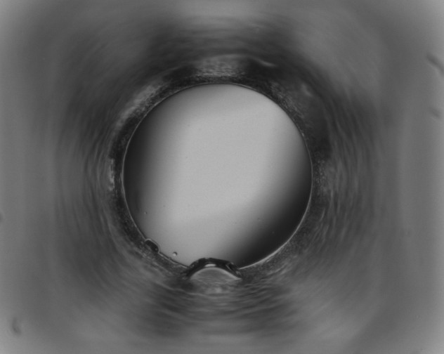 X0000097660731200803071531