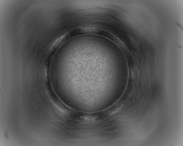 X0000097660733200803071531