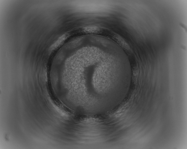 X0000097660734200803071531