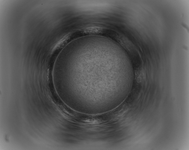 X0000097660735200803071531