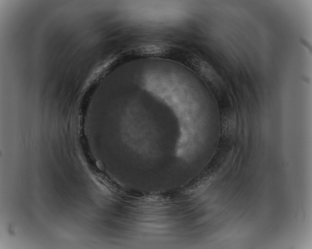 X0000097660736200803071531