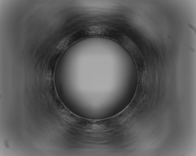 X0000097660737200803071531