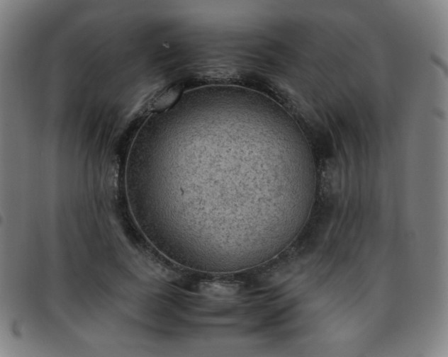 X0000097660739200803071531