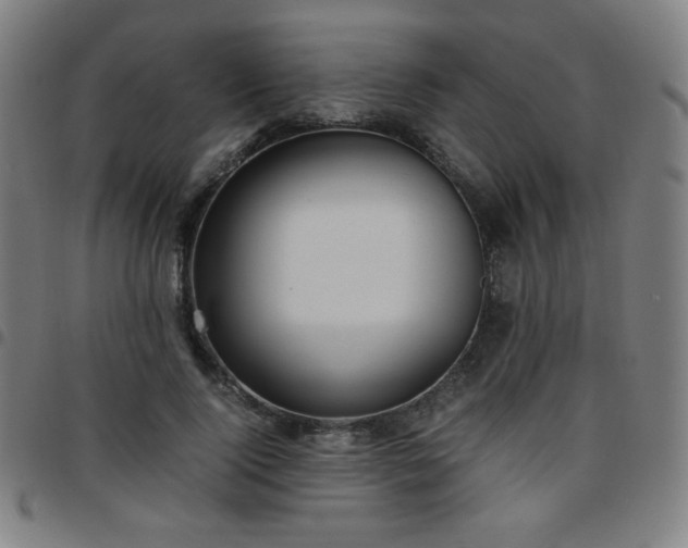 X0000097660740200803071531