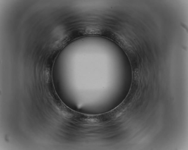 X0000097660741200803071531