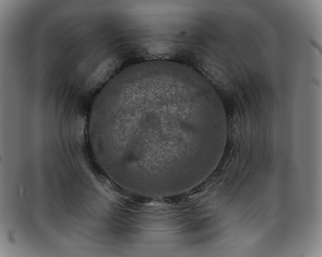 X0000097660742200803071531